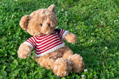 芝生に座るクマ